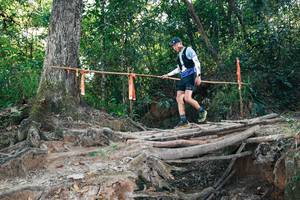 BIB: 
                            <button type="button" onclick="openModal(27302864)" class="btn btn-primary btn-sm float-right btn-popup" data-toggle="modal" data-target=".modal-high-quality">
                        <i class="fas fa-shopping-cart"></i> Add to Cart
                    </button>
                                            <button type="button" onclick="isThisMe(27302864, true)" class="btn btn-success btn-sm float-right btn-popup btn-isme hidden" data-toggle="tooltip" data-placement="bottom" title="นี่คือรูปของคุณใช่ไหม คลิกที่นี่เพื่อเอาเข้าอัลบั้ม">
                        <i class="fas fa-plus"></i> Add to album
                    </button>
                    <button type="button" onclick="isThisMe(27302864, false)" class="btn btn-warning btn-sm float-right btn-popup btn-isnotme hidden">
                        <i class="fas fa-ban"></i> Remove from album
                    </button>